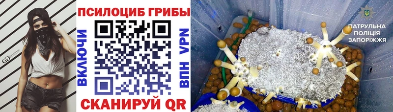 Псилоцибиновые грибы MAGIC MUSHROOMS  hydra как войти  Пушкино 